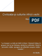 Culturile Africii