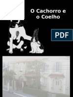 O Cachorro e o Coelho