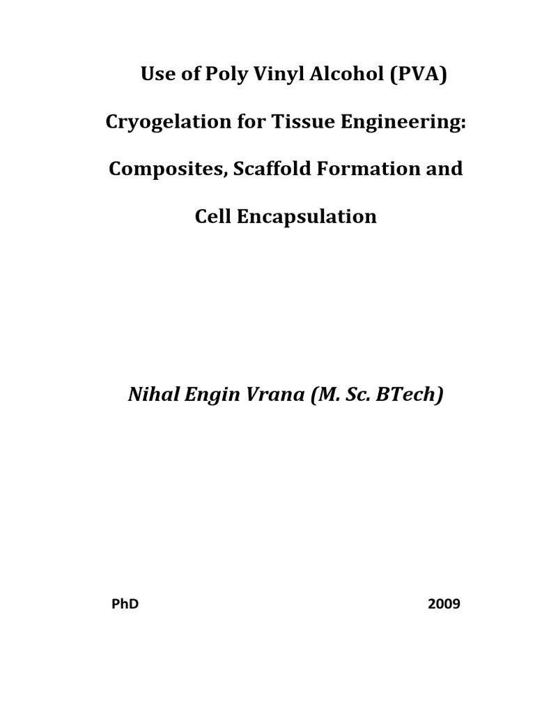 Pva thesis 05 picture