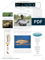 Fish Index - Giant Featherback (Chitala Lopis)