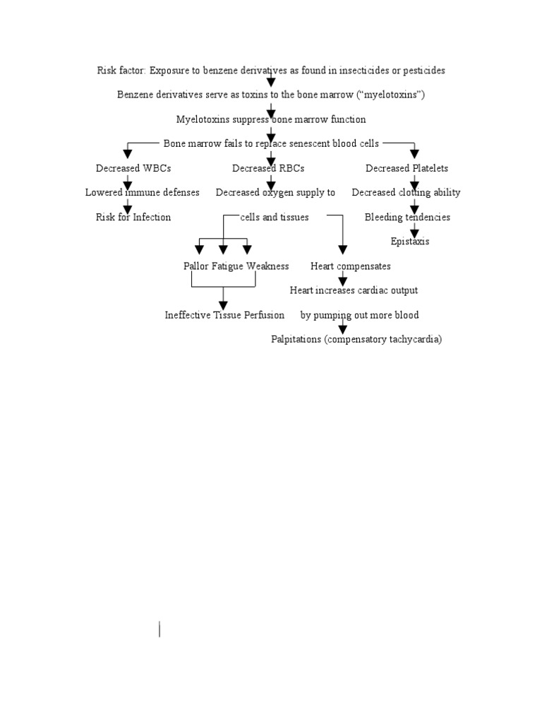 Pathophysiology Of Aplastic Anemia