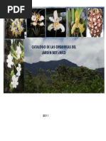 JB Orquideas