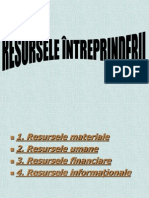 Resursele Intreprinderii