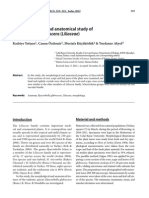 A morpholog
ical and anatomical study of
Hyacinthella glabrescens (Liliaceae)