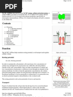 Download Sodium-Potassium Pump on Wikipedia Portrait by shawnleegabriel SN2079753 doc pdf