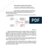 Mecanismo de Respiración Aerobia y Anaerobia de Las Levaduras