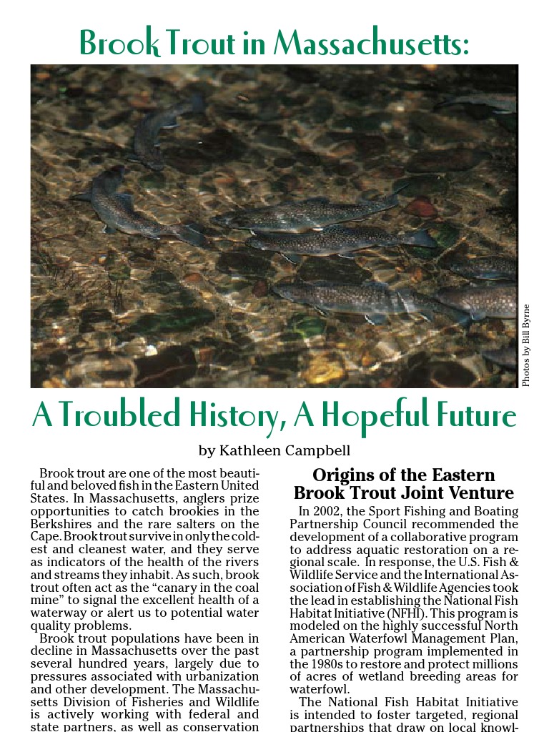 Brook Trout Article PDF Natural Environment Systems Ecology
