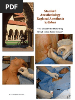 Download Regional Anesthesia Syllabus V17 by Gabriela Smerea SN208033461 doc pdf