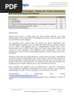 Auditoria - Estratégia RFB 2012 - Aula 04.pdf