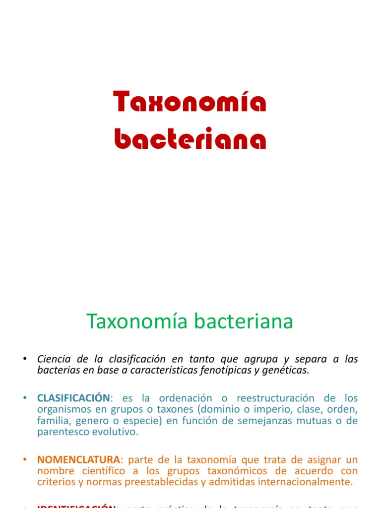 Taxonomía bacteriana