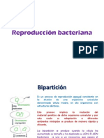 Reproducción bacteriana