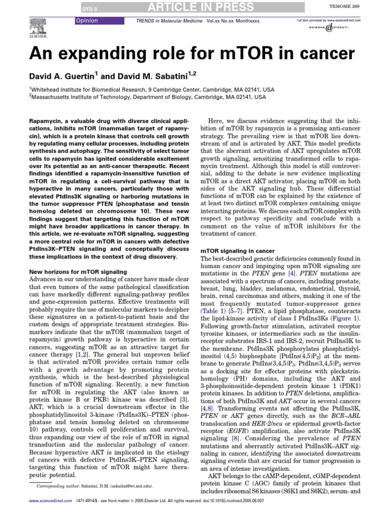 An Expanding Role For mTOR in Cancer | PDF | Protein Kinase B | Pten (Gene)