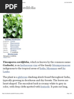 Tinospora Cordifolia - Wikipedia