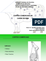 Cortes Comerciais