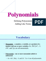 Polynomial Nt 1