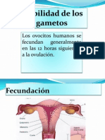 Primera Semana de Desarrollo-Fecundacion