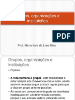 25049011 Aula Sara Grupos Organizacoes e Instituicoes