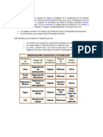 Resumen Tema 17 Sistema Excretor