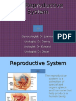 Reproductive 2