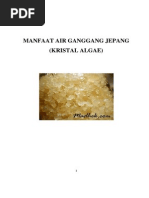 Download Manfaat Ganggang Jepang by Irsan Fahmi A SN208113370 doc pdf