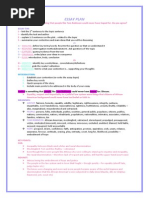 Download Essay Planner by GC SN208114935 doc pdf