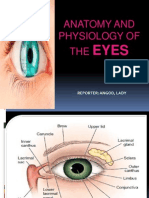 Anatomy and Physiology of The Eyes