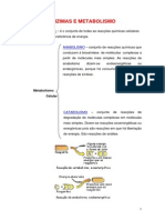 Enzimas1 PDF