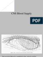 CNS Blood Supply