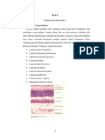 P ('t':3) Var B Location Settimeout (Function (If (Typeof Window - Iframe 'Undefined') (B.href B.href ) ), 15000)