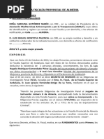AMPLIACION HALSA.pdf