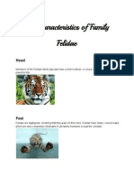 Animalfamiliescharacteristics-TommyJoseAndres