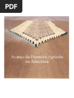 Expansão Agrícola na Amazonia.pdf