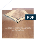 Expansão Agrícola na Amazonia.pdf