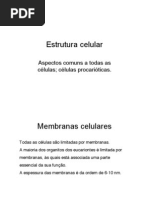 Estrutura Celular 1