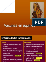 Vacunas equinas enfermedades