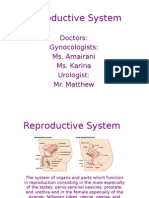 Reproductive System Period 8