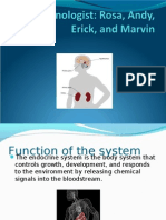 Endocrine 4