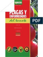 Tomato Spanish
