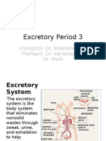 Excretory Period 3: Urologists: Dr. Stephanie, Dr. Thanapol, Dr. Vanessa, and Dr. Mark