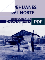 Tepehuanes Norte