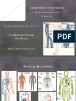 IVP Fisiopatología 40