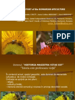 dinistoriaapiculturiiromane-101113015647-phpapp02