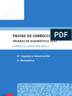 Pauta de Correccion Diagnostico 2014