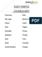 Body Parts Vocabulary 61-80
