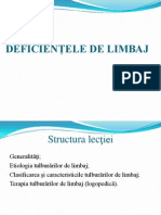 Deficientele de Limbaj 01-12-2013