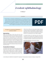 Eyes_diseases_rabbit.pdf