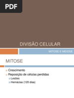 DIVISÃO CELULAR