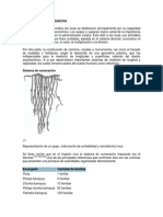 Sistema Numerico