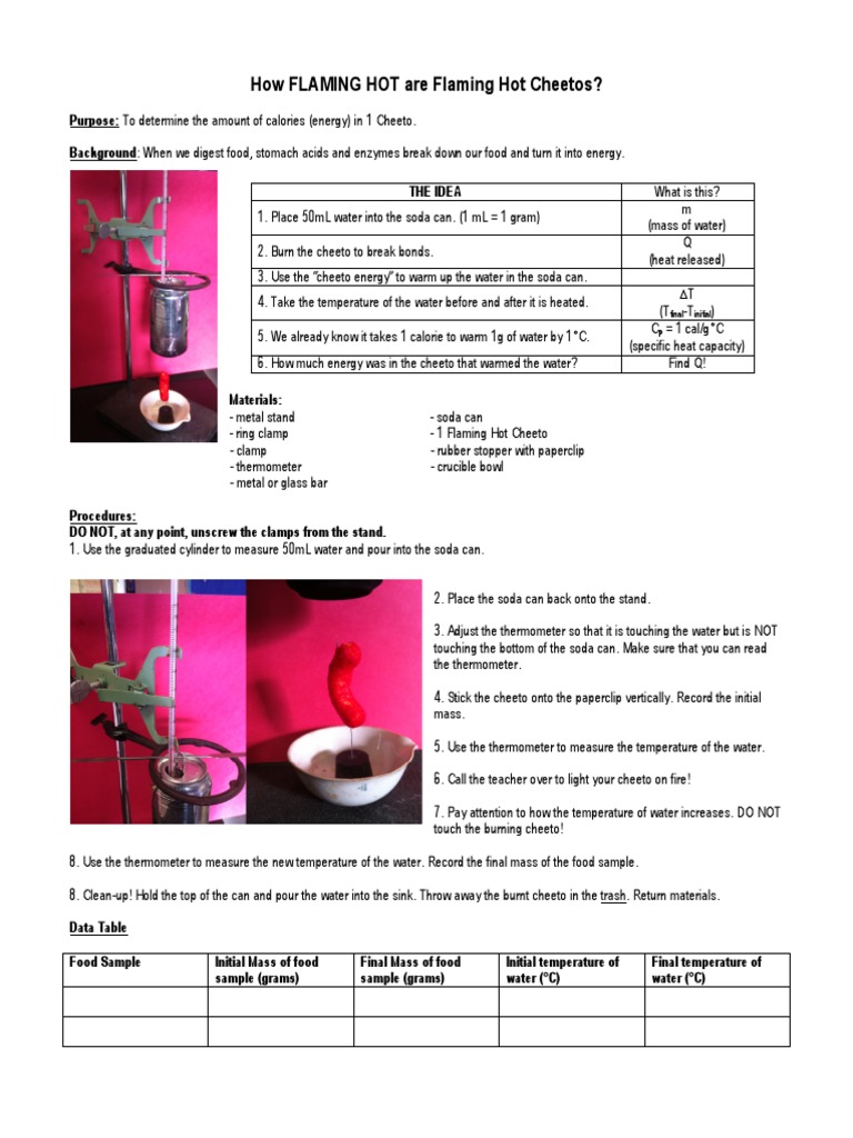 Cheeto Lab PDF Calorie Heat