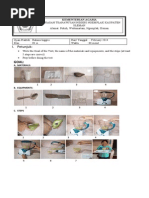 Download ujian praktek bahasa inggris kelas IX A by Deti Prasetyaningrum SN208281727 doc pdf